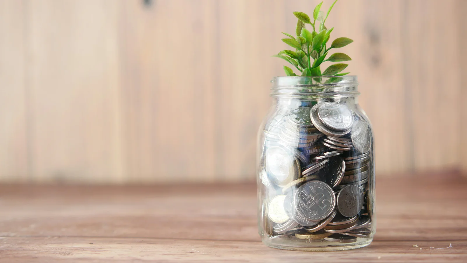 Glass jar containing assorted coins with a small green plant